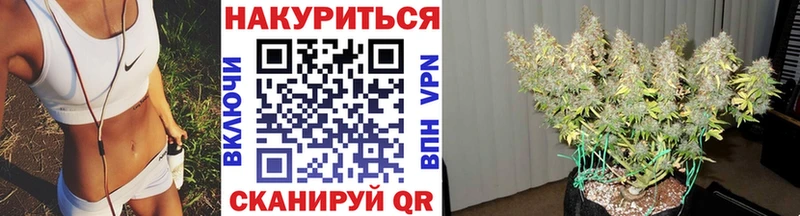 Шишки марихуана SATIVA & INDICA  где купить   Омутнинск 